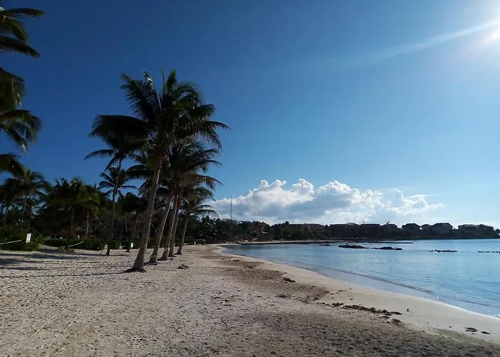 Picalu & * Puerto Aventuras