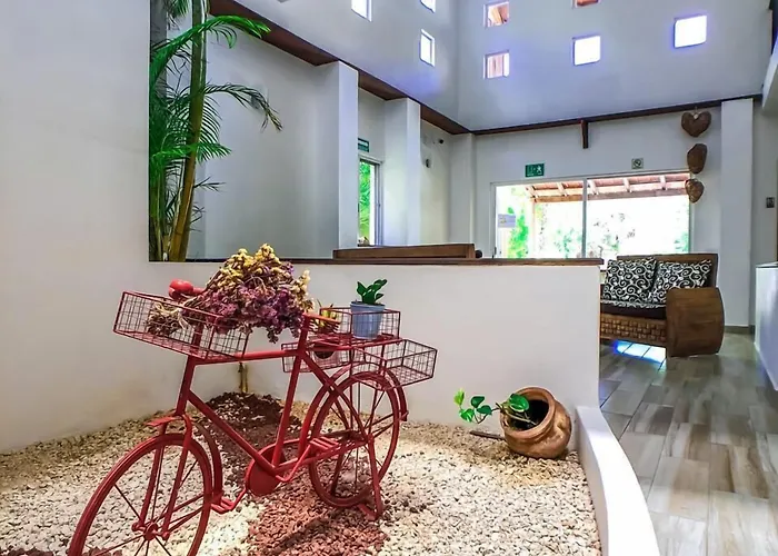 Picalu Studios&suites *