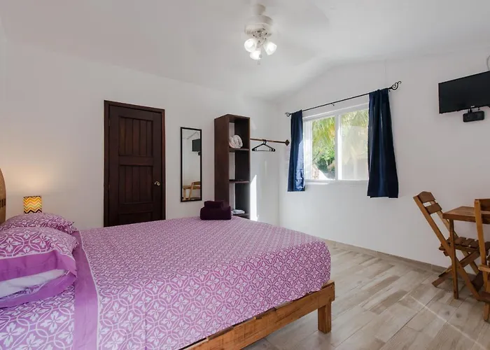 Picalu & Apartment *