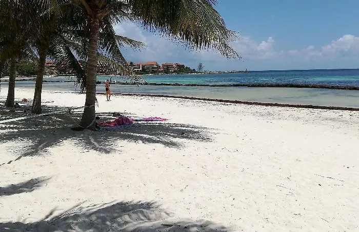 Picalu Studios&suites Apartamento Puerto Aventuras